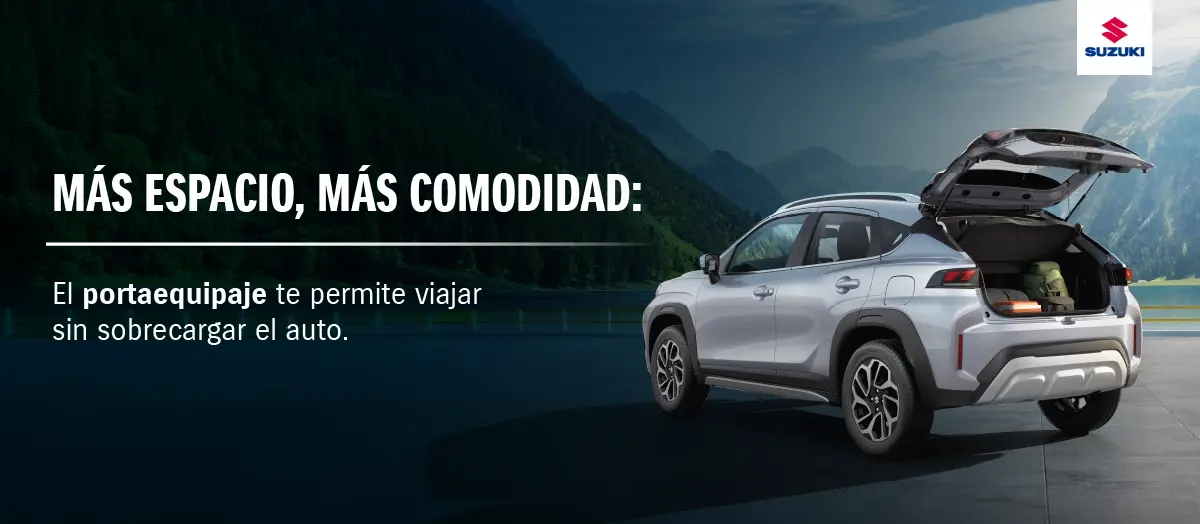 Portaequipaje para auto.